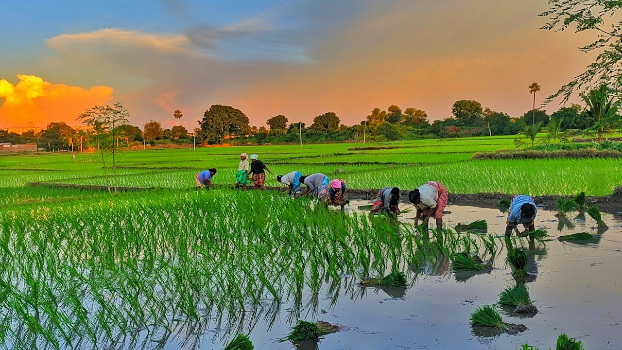 Climate Action & Environmental Sustainability
