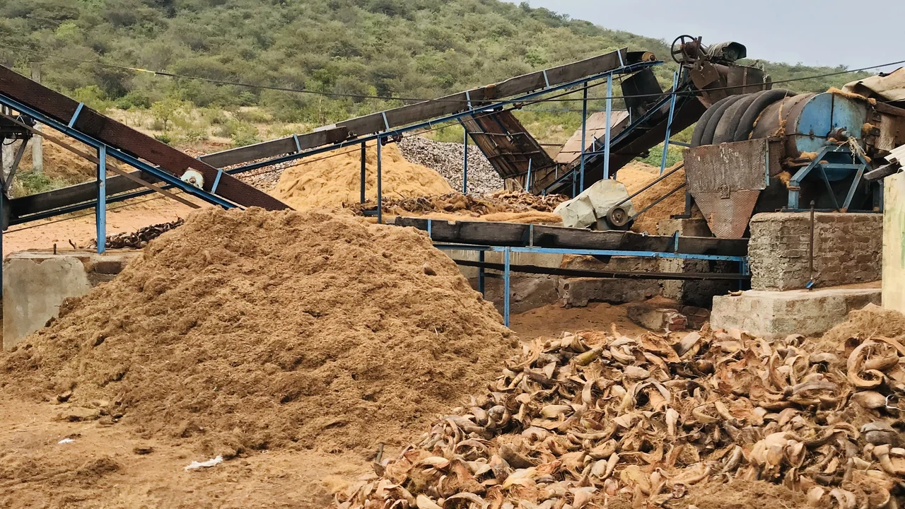 Waste Management & Circular Economy